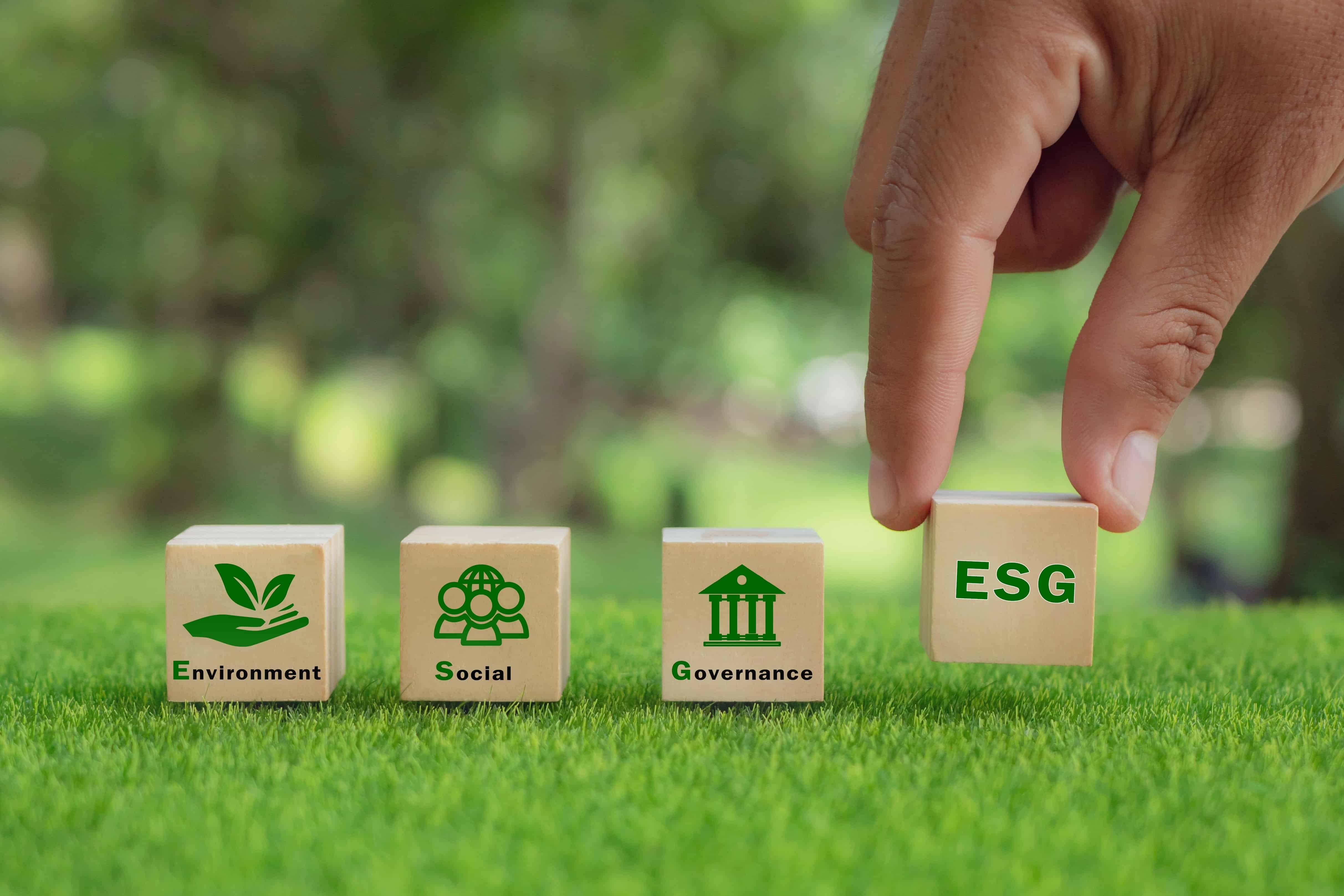 Implementing an ESG roadmap for your company — strategic plan for environmental, social, and governance performance