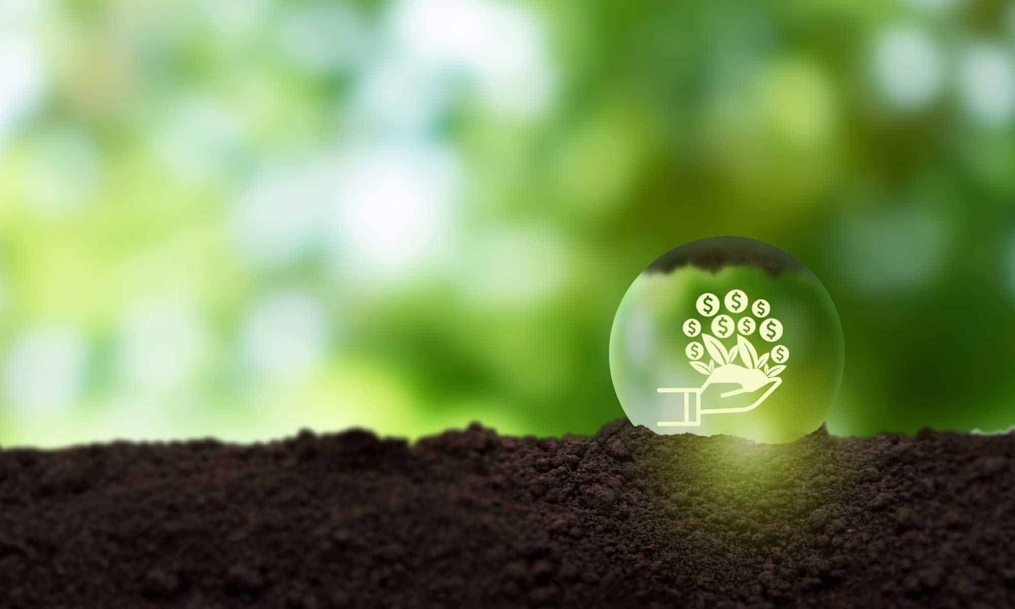 Decision-making with ESG consultant support — informed strategic choices driven by evidence-based analysis