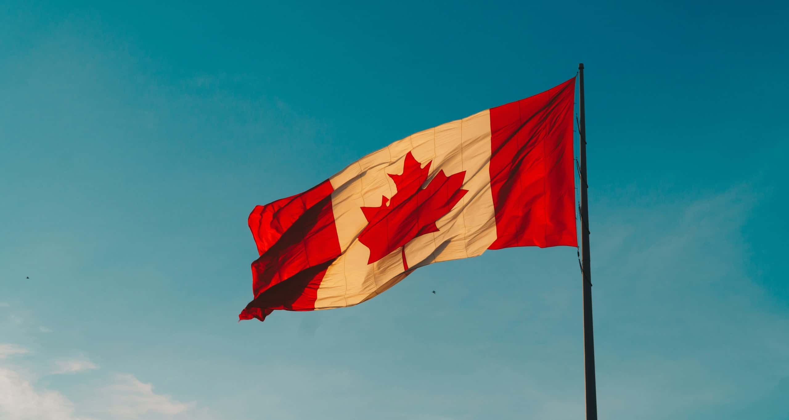 ESG strategy for Canadian businesses — environmental, social, and governance compliance roadmap