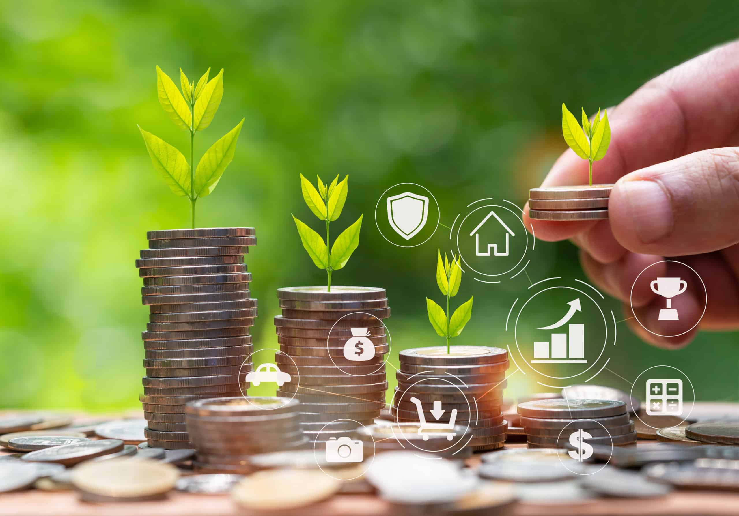 Parcours de certification B Corp de Valeo+