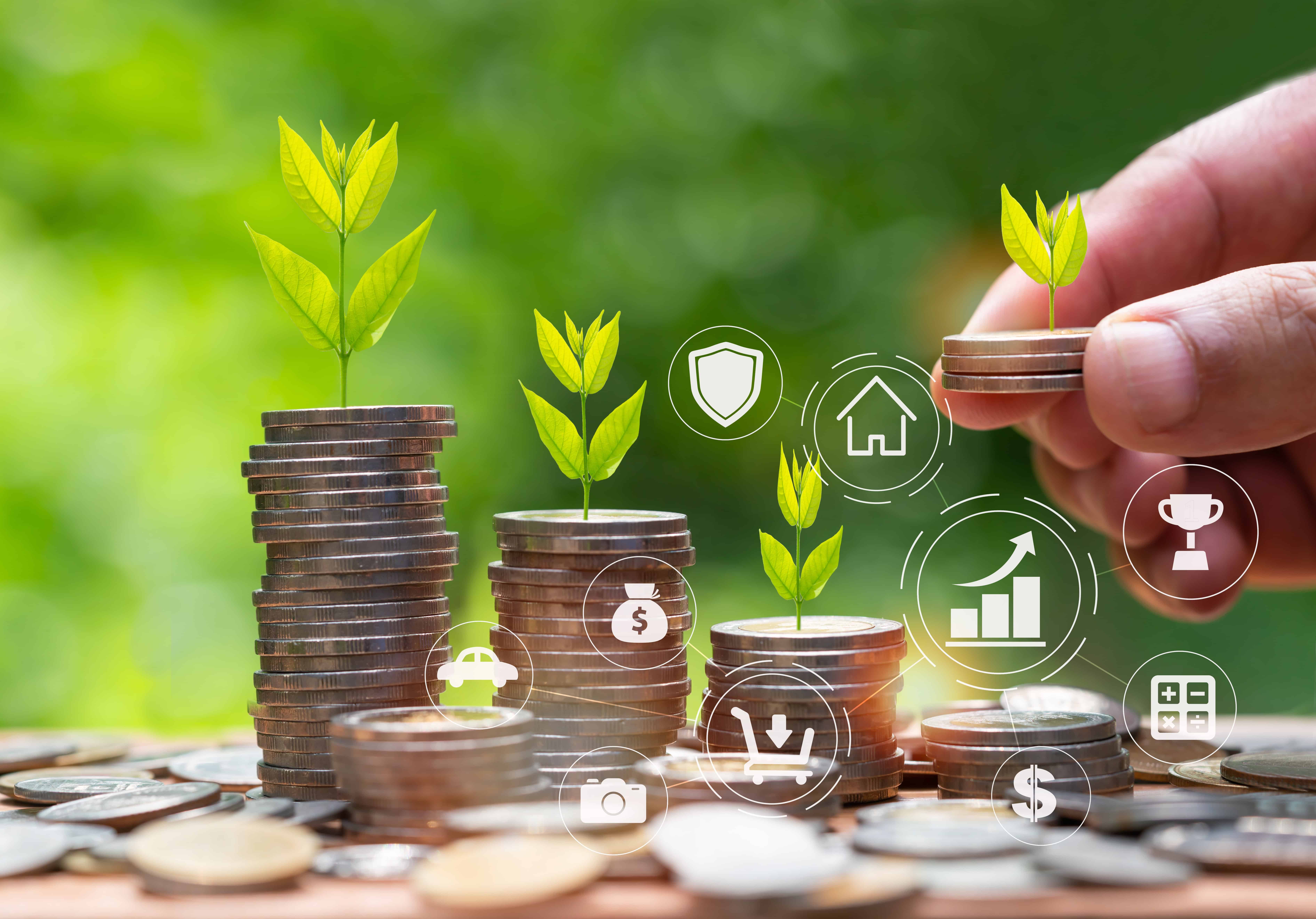 Valeo+ certification B Corp