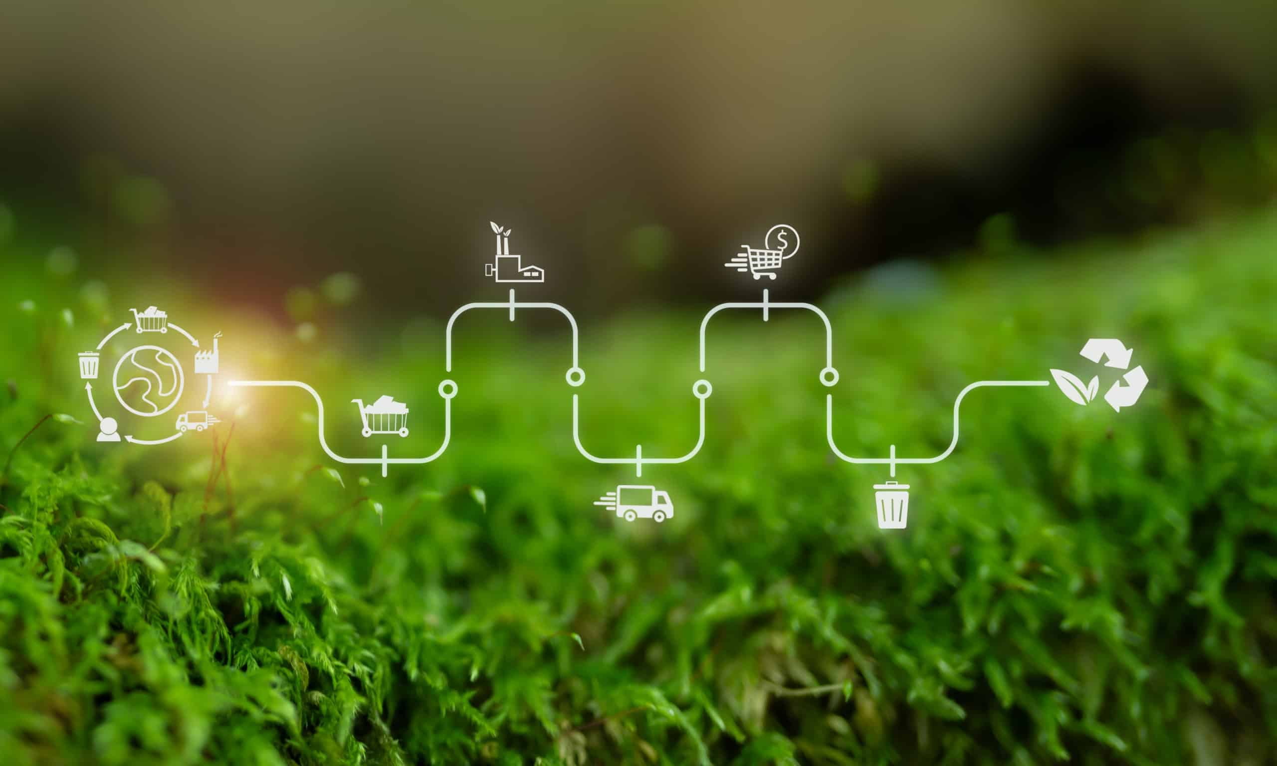 Building a sustainable supply chain and ESG strategy